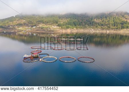 Fish Breeding Industry. Fish Cages Of Trout Fish Farm In Water. Food Industry, Traditional Craft Pro