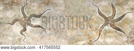 Horizontal banner with two petrified fossil starfish in stone on brown color. Mock up template. Copy space for text