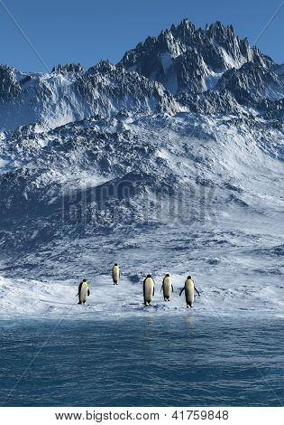 Penguenler