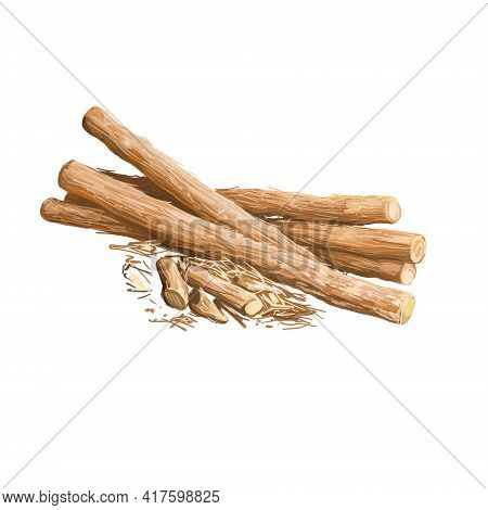Liquorice Root Isolated Dried Sticks Isolated Digital Art Illustration. Licorice Glycyrrhiza Glabra,