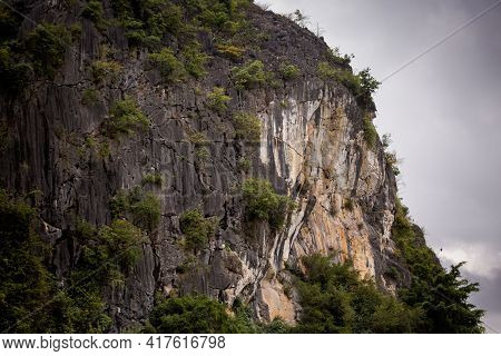 Van Long In Tam Coc Vietnam