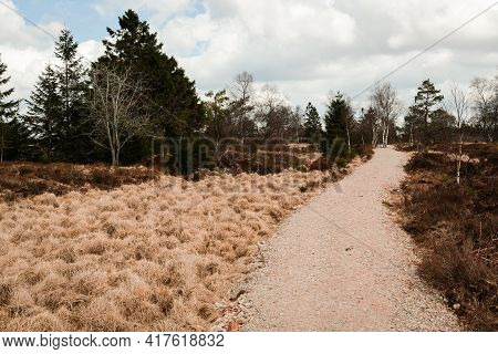 The High Fens, Hoge Venen, Belgium, Signal Van Botrange