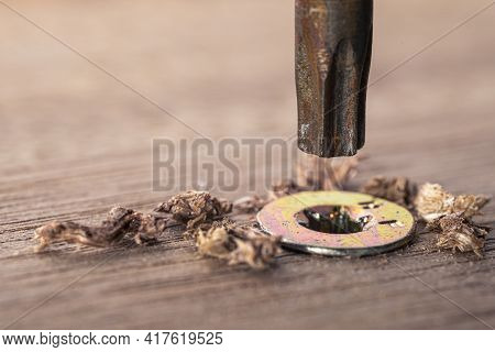 Screwdriver Screw In A Wood Oaks Plank. Self-tapping Screw For Torx 25 Bit. Screws Macro Photo. Cons