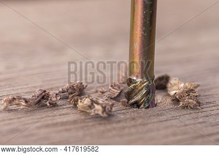 Screwdriver Screw In A Wood Oaks Plank. Self-tapping Screw For Torx 25 Bit. Screws Macro Photo. Cons