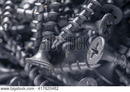 A Handful Of Self-tapping Screws For Wood. Construction Abstraction. Industrial Background.