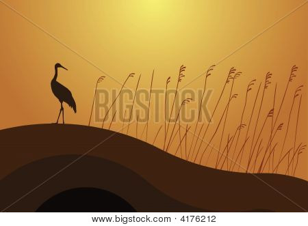 Kran im Sonnenuntergang