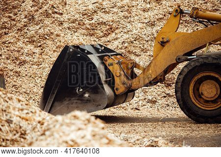 The Excavator Loads Wood Chips. The Large Bucket Of The Conveyor Loads Biofuels And Wood Mulch. Indu