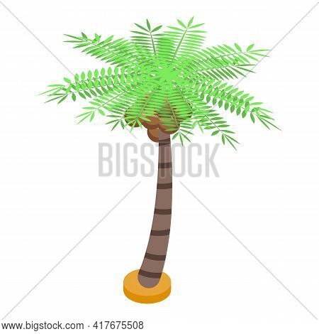 Palm Fruit Tree Icon. Isometric Of Palm Fruit Tree Vector Icon For Web Design Isolated On White Back