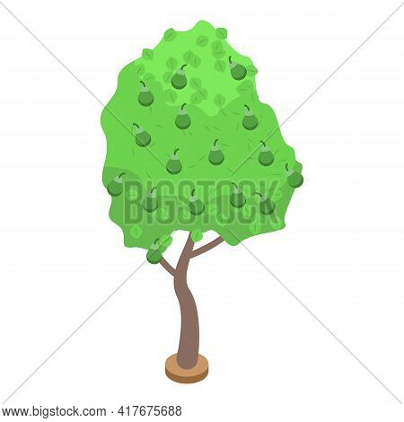 Green Pear Fruit Tree Icon. Isometric Of Green Pear Fruit Tree Vector Icon For Web Design Isolated O