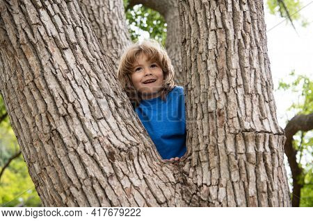Portrait Of Cute Kid Boy Sitting On The Big Old Tree On Summer Day. Child Climbing A Tree. Little Bo