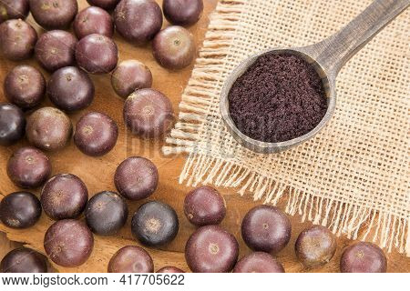 Brazilian Exotic Berry Jabuticaba - Plinia Cauliflora
