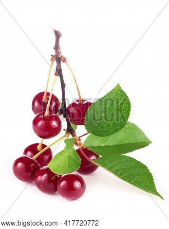Ripe Fresh Red Cherry Isolated On White Background. With Clipping Path.
