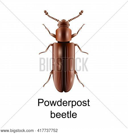 Powderpost Vector Icon.realistic Vector Icon Isolated On White Background Powderpost.