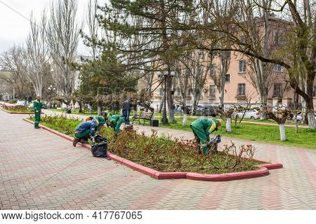 Kerch Russia - April 20 2021 City Garden, Landscaping And Cleaning Of The City, Spring Pruning Of Ro