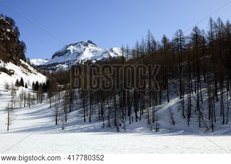 Devero Park ( Verbano-cusio-ossola ), Italy - January 15, 2017: Alpe Devero Park Landscape, Ossola V