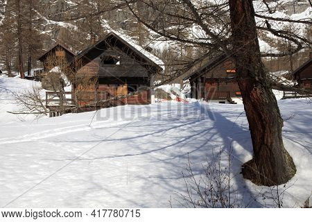 Devero Park ( Verbano-cusio-ossola ), Italy - January 15, 2017: Typical Houses In The Forest At Alpe