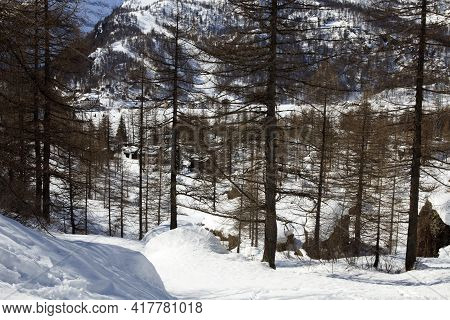 Devero Park ( Verbano-cusio-ossola ), Italy - January 15, 2017: Alpe Devero Park Landscape, Ossola V