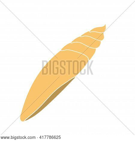 Beautiful Curly Seashell On An Isolated Background. Malyusk In The Sink. Marine Life In The Sea And 