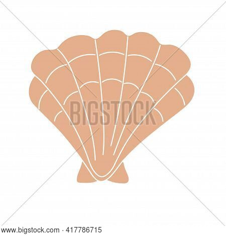 Beautiful Curly Seashell On An Isolated Background. Malyusk In The Sink. Marine Life In The Sea And 
