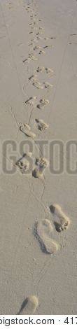 Foottrack