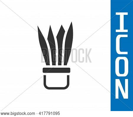 Grey Plant In Pot Icon Isolated On White Background. Plant Growing In A Pot. Potted Plant Sign. Vect