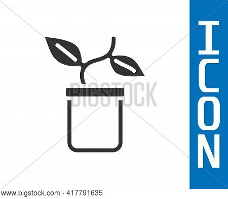 Grey Plant In Pot Icon Isolated On White Background. Plant Growing In A Pot. Potted Plant Sign. Vect