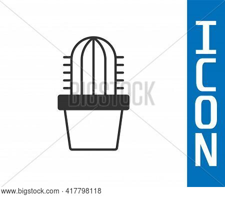 Grey Cactus Peyote In Pot Icon Isolated On White Background. Plant Growing In A Pot. Potted Plant Si