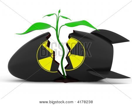Planta que crece a través de la bomba atómica
