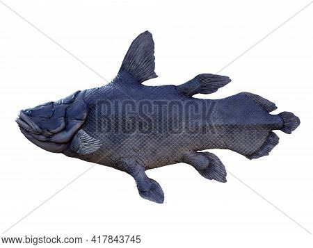 Mawsonia Fish Side Profile 3d Illustration - Mawsonia Is An Extinct Lobe-finned Predatory Fish That 