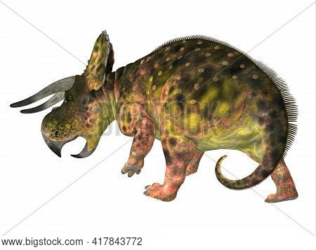 Nasutoceratops Dinosaur Tail 3d Illustration - Nasutoceratops Was A Herbivorous Ceratopsid Dinosaur 