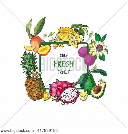 Exotic Fruits Card.avocado,carambola,mango,pitahaya,pineapple Passion Fruitbright Summer Vector Illu