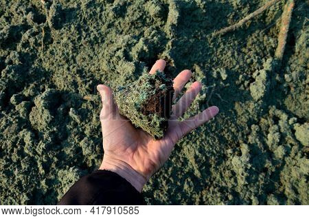 Stabilization Of Slopes By Hydro Sowing. A Mixture Of Wood Pulp And Green Grass Seed Is Sprayed From