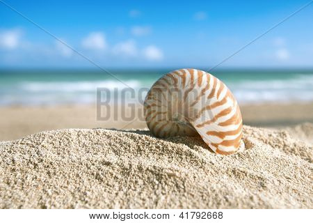 pieni nautilus shell beach, ocean, matala dof ja merimaisema