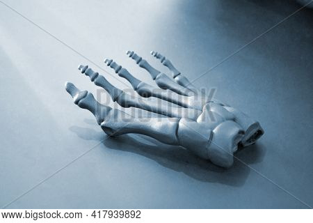 Gray Prototype Of The Human Foot Skeleton Printed On 3d Printer On Dark Surface.