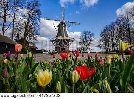 Famous Dutch Landscape On Sunny Day In Spring