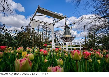 Famous Landscape Of Holland On Sunny Day In Spring