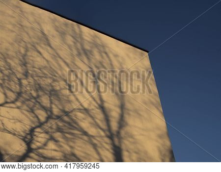Shadow Of Tree Branches On Building On Sunny Day And Blue Sky Coner. Sunlight And Plant Silhouette. 