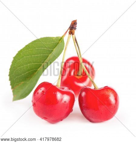 Ripe Fresh Red Cherry Isolated On White Background.