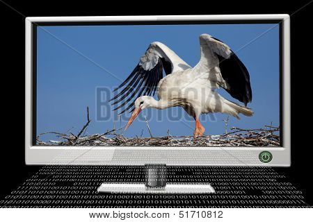 Screen Monitor