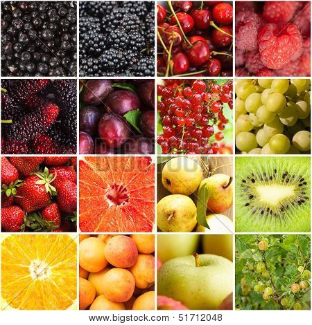 Various Fruits Berries