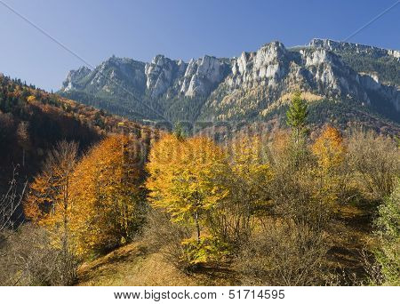 autumn landscape