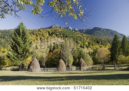 rural landscape