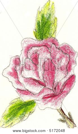 Desenho de rosa