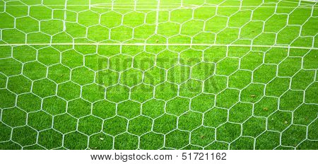 Soccer Nets