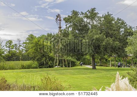 Park Windmill Scene