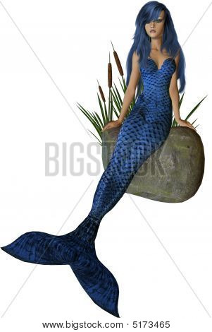 Blue Mermaid sidder på en sten
