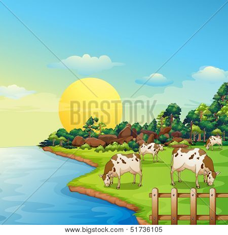 Illustration of the cows at the farm 