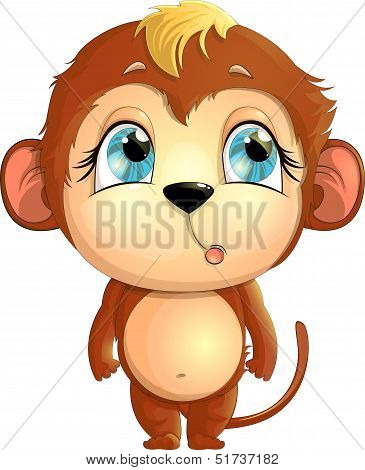 Monkey