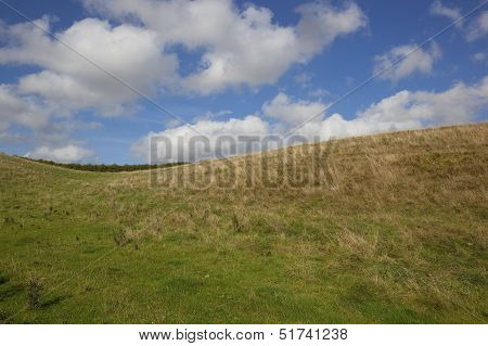 Hills And Sky