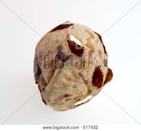 Trockene Kugel mit Löchern